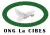 nouveau logo